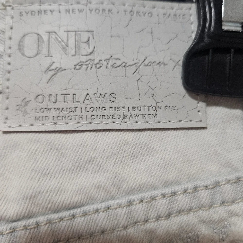 One X One Teaspoon Distressed Denim Shorts 25